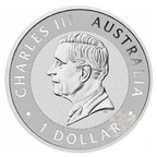 Canguro Argento 2025 FDC (1 Oz)